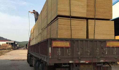 建筑胶合板运输